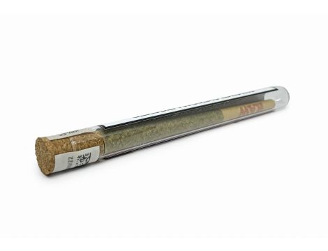 Sativa Poland Prerolls CBD Bubbels 0,5G - 2